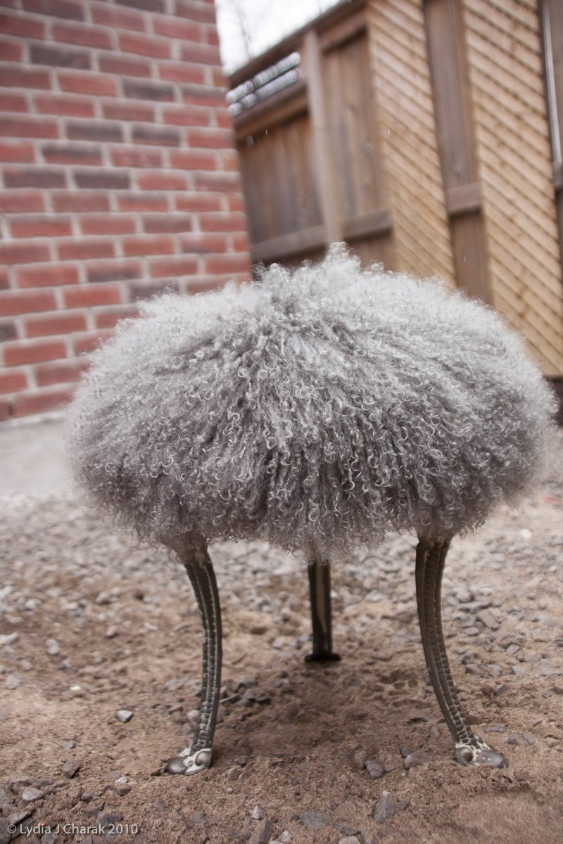 Hairy Stool - mixed media - &copy;Lydia Charak-min.jpg