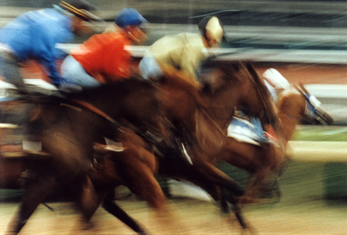 And They're Off - award winning photograph - &copy;Lydia Charak-min.jpg