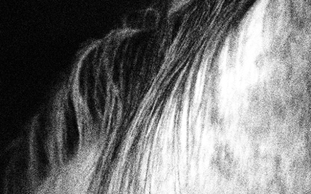 horse body left - photograph - &copy;Lydia-Charak-min.jpg