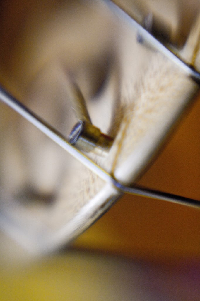 Intimate Conversation with Bass 2 - photograph - &copy;Lydia Charak-min.jpg