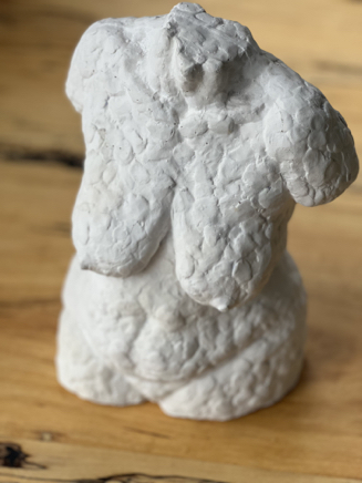 Female Torso Front-min.jpeg